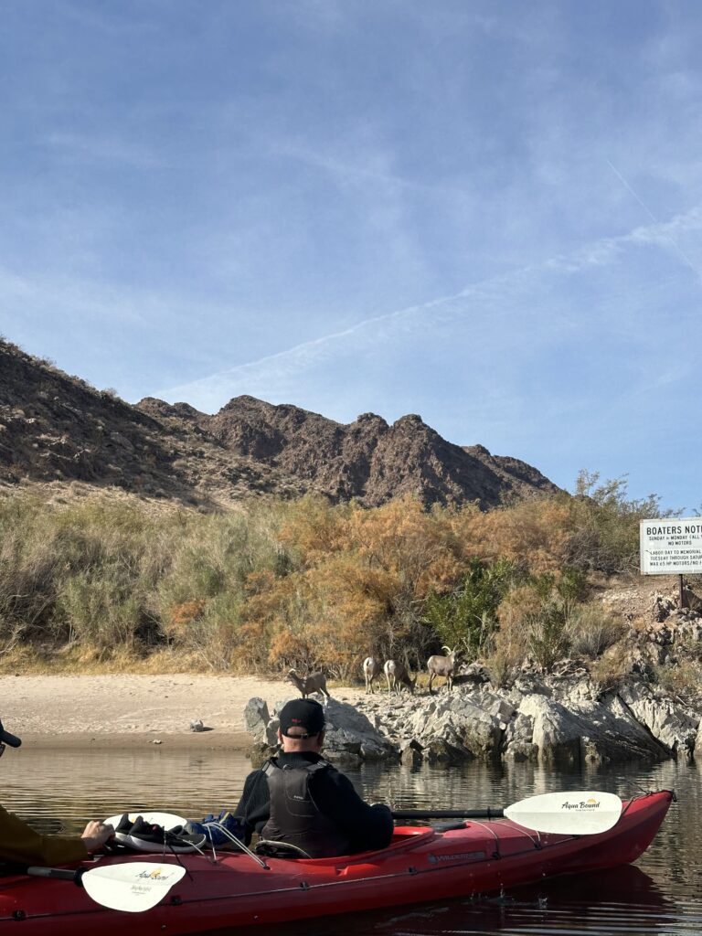 Blazing paddles flat water kayaking on the Colorado River.