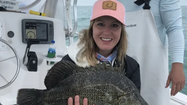 A woman holding a Triple Tail Fish in Madeira Beach, Florida.