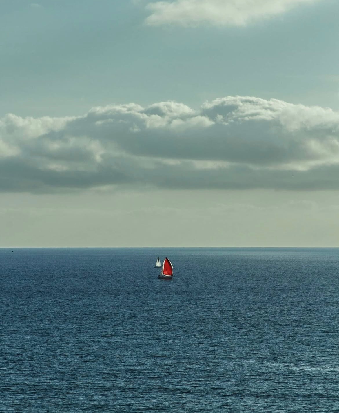 sail boat on the pacific ocean in Big Sur