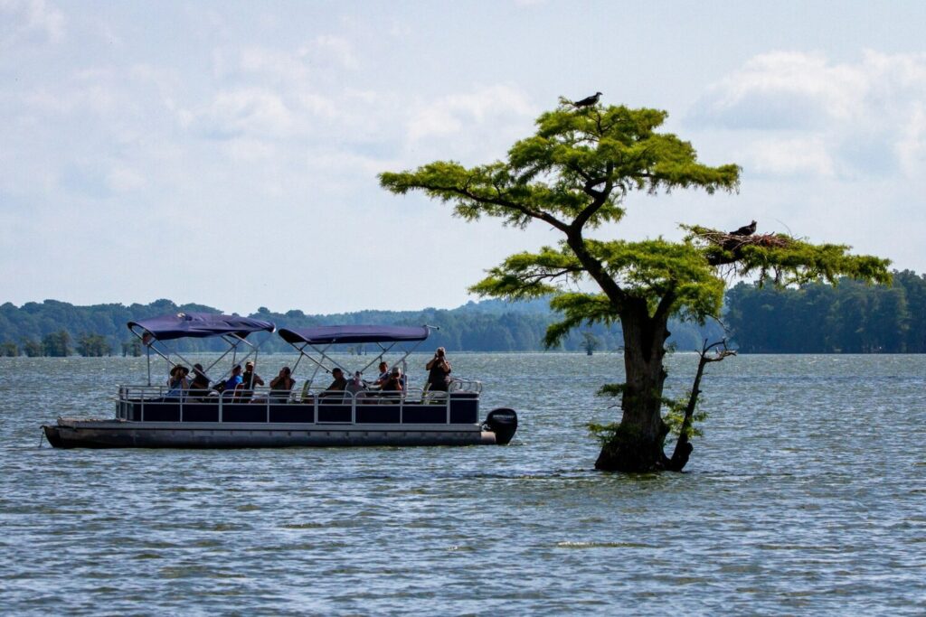 A pontoon boat full of people next to a tree in the middle of Lake Isabella.