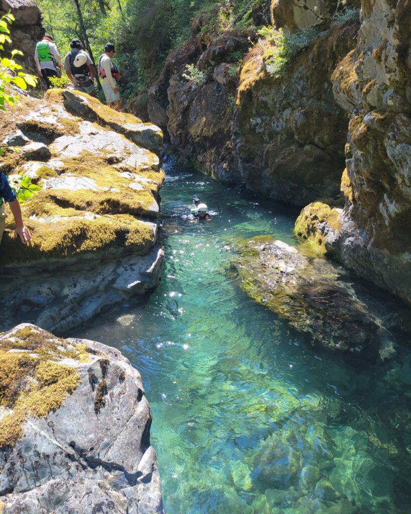 Rafters swimming through a crystal clear creek.