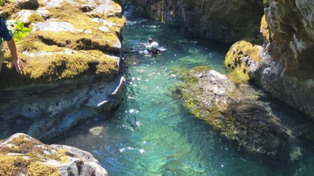 Rafters swimming through a crystal clear creek.