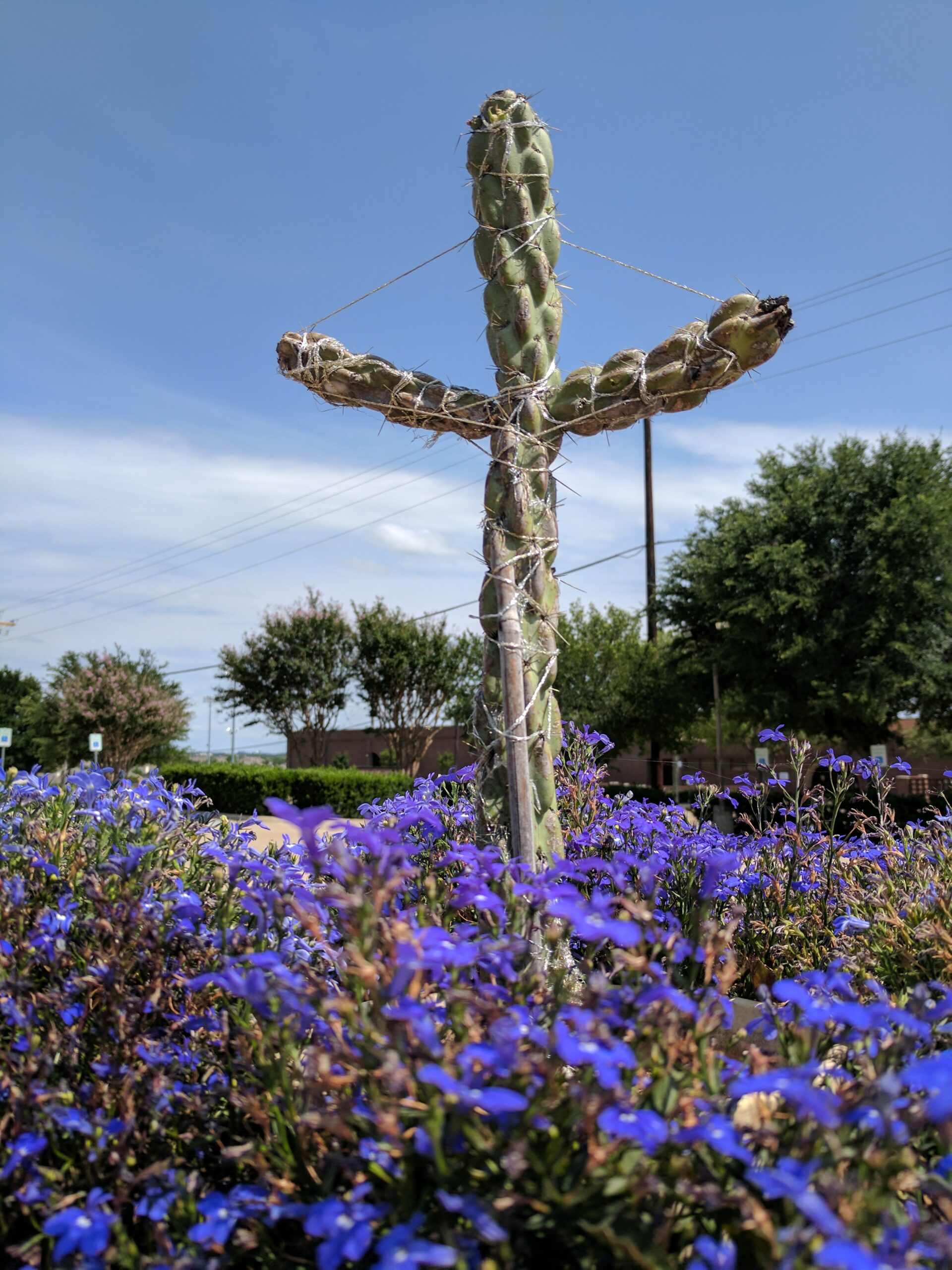 Texas
