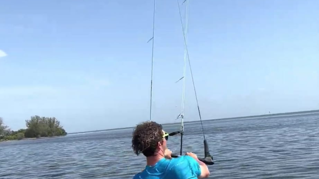 kite1.jpg