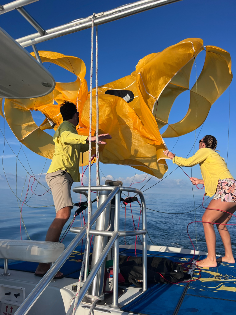 Gators Parasail