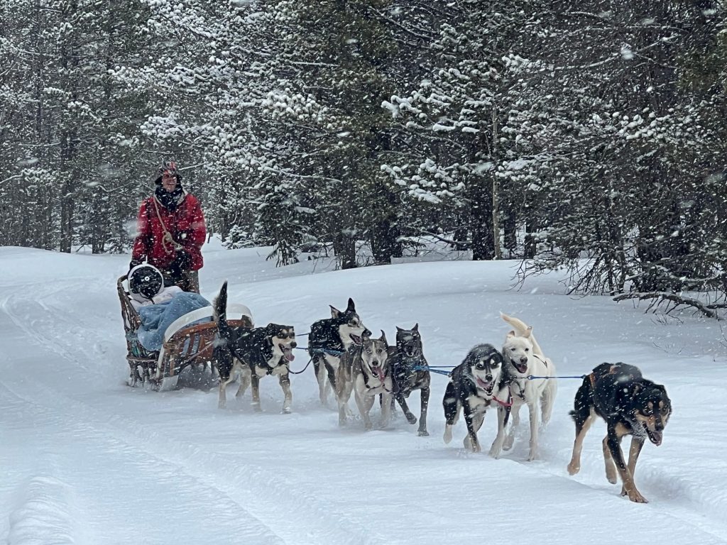 Sled dogs running while pulling a sleigh.