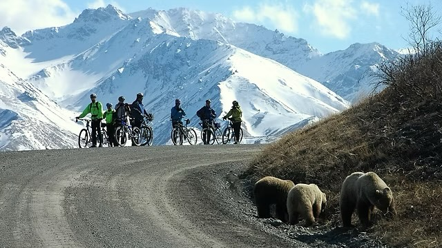 A group of people biking in Alaska.