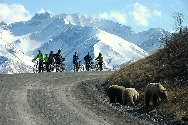 A group of people biking in Alaska.