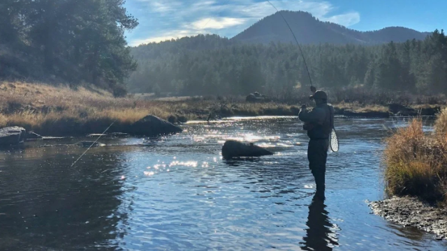 A fly fisherman in a mountain lake.