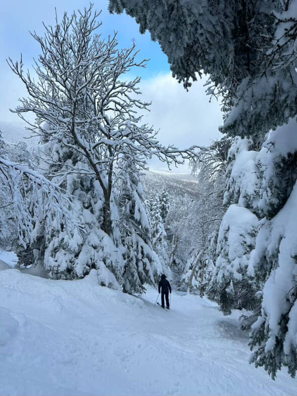 Vermont