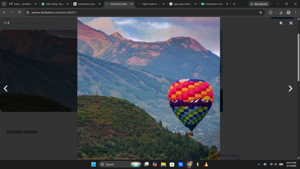A hot air balloon in the mountains.