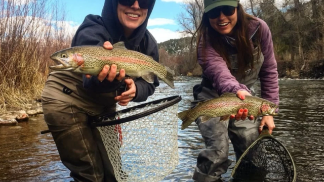 aspen fish