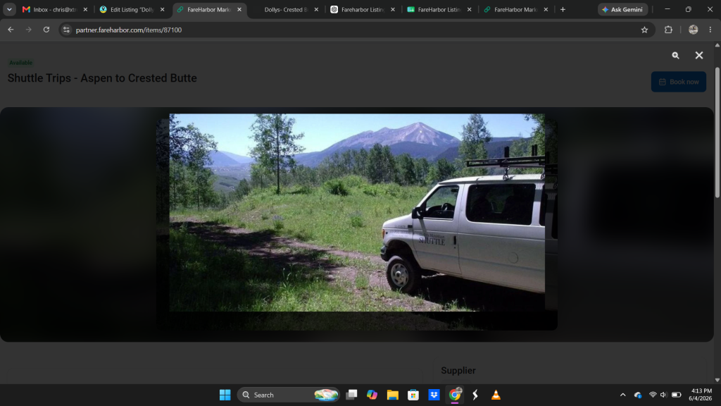 A white van in the mountains.