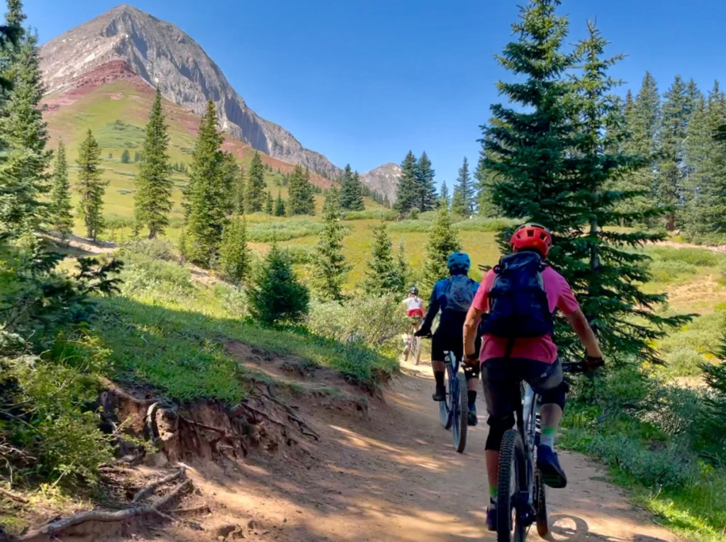 Mountain biking on a trail.