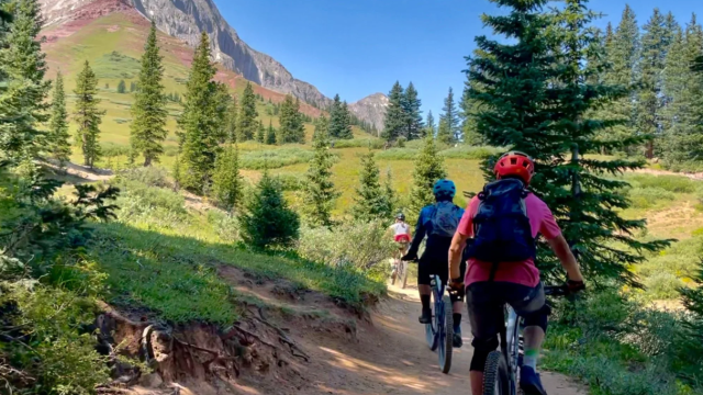 Mountain biking on a trail.