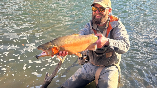 A fisherman holding a trout.