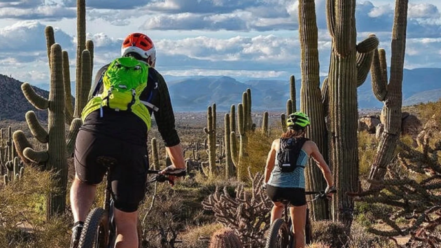 Two bike riders with cactus.