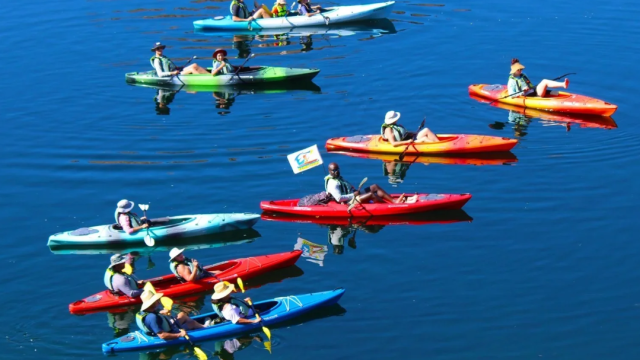 A group of kayaks on a lake.