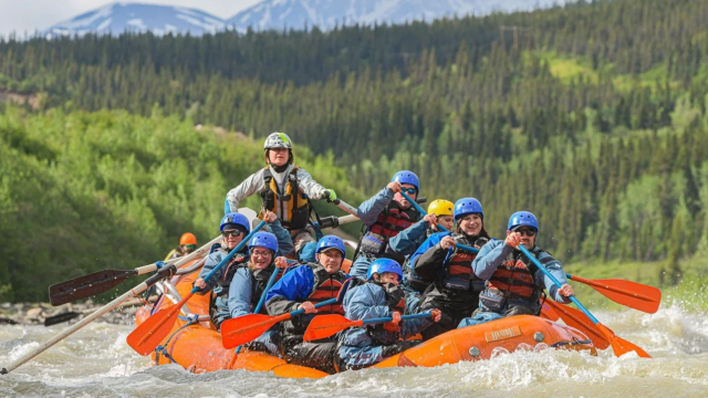 New Wave Adventures