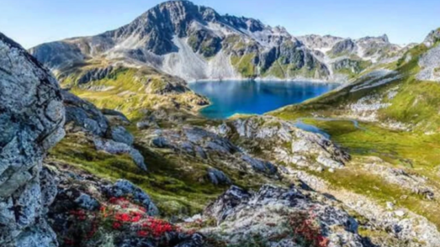 Alaska wilderness.