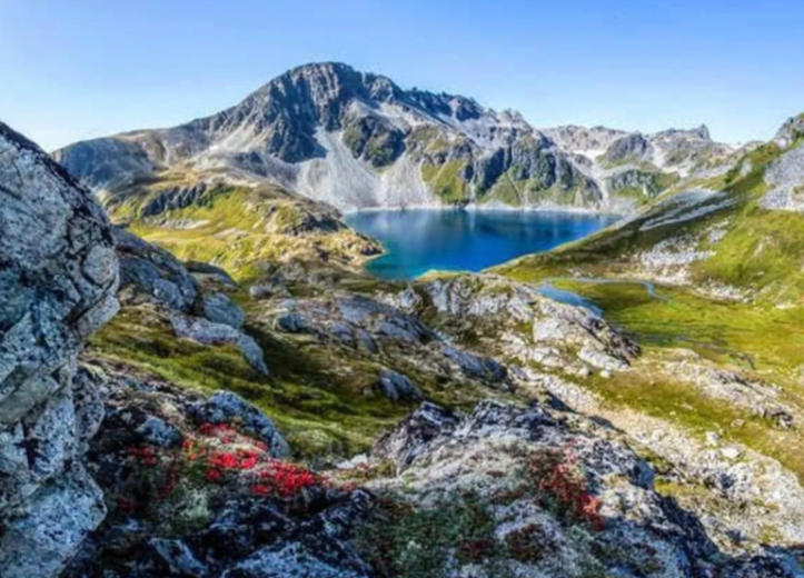 Kenai Backcountry Adventures