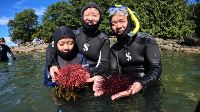 Snorkelers holding a sea urchin.