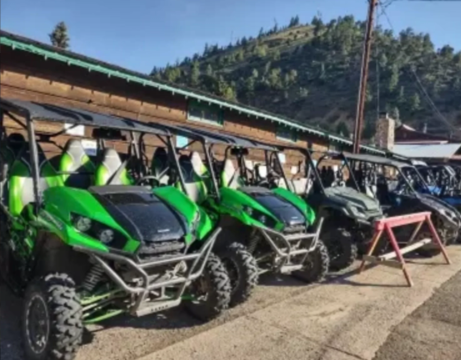 A row of green UTVs.