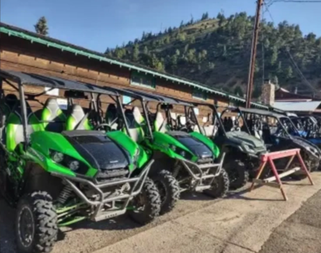 A row of green UTVs.