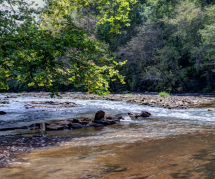 A view of Chestatee river from shore.