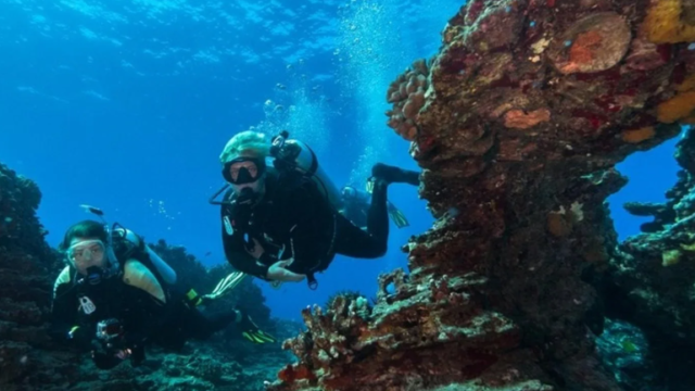 Dive Oahu