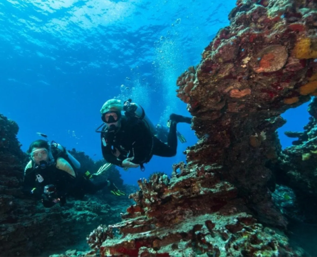 Dive Oahu