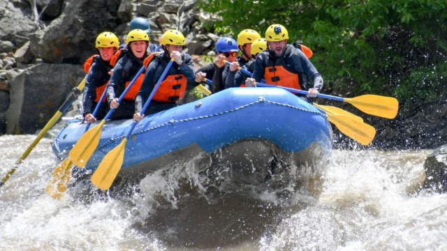 A whitewater raft on a rapid in yellowstone.