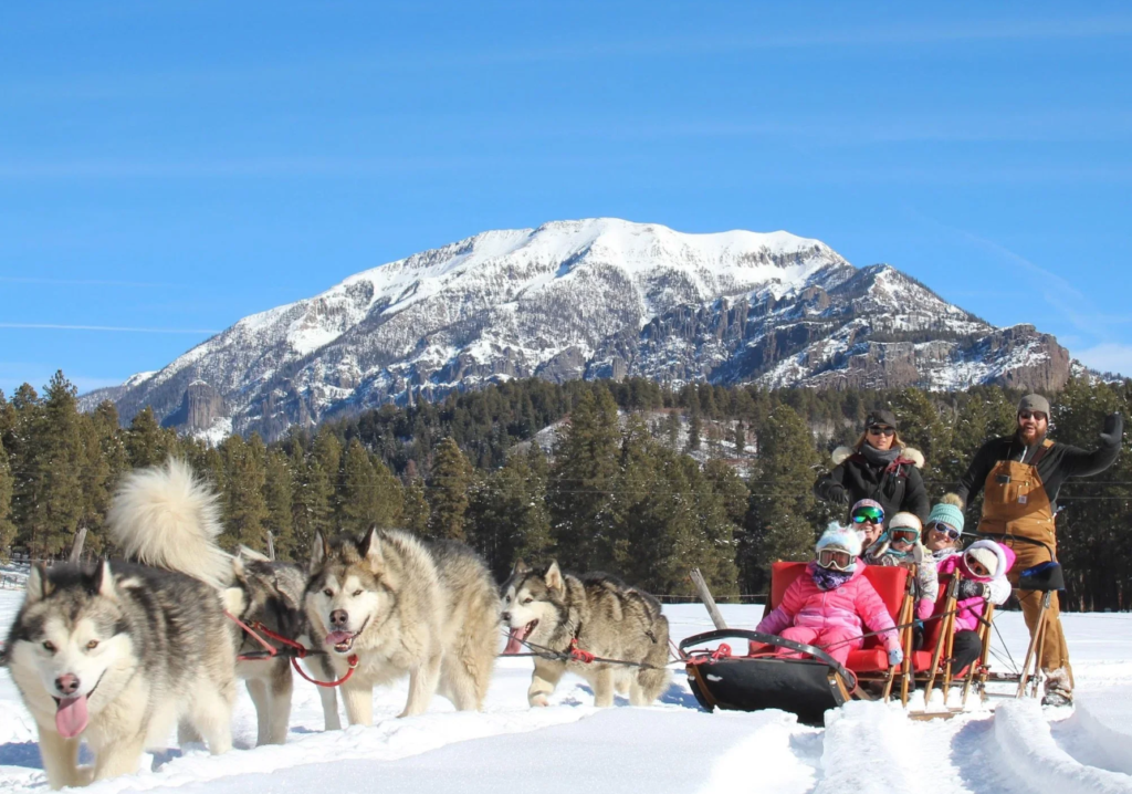 San Juan Sled Dogs