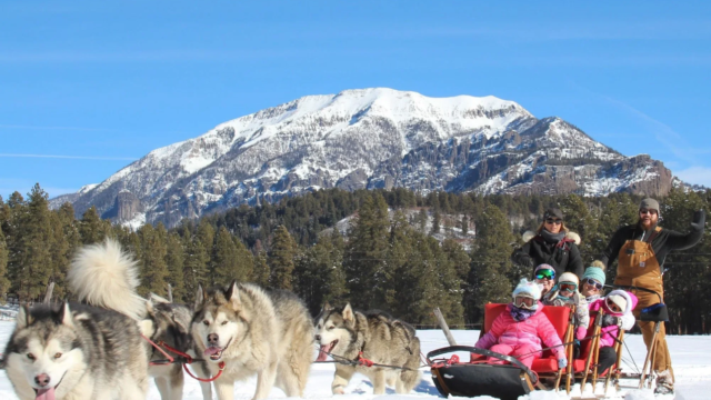 San Juan Sled Dogs