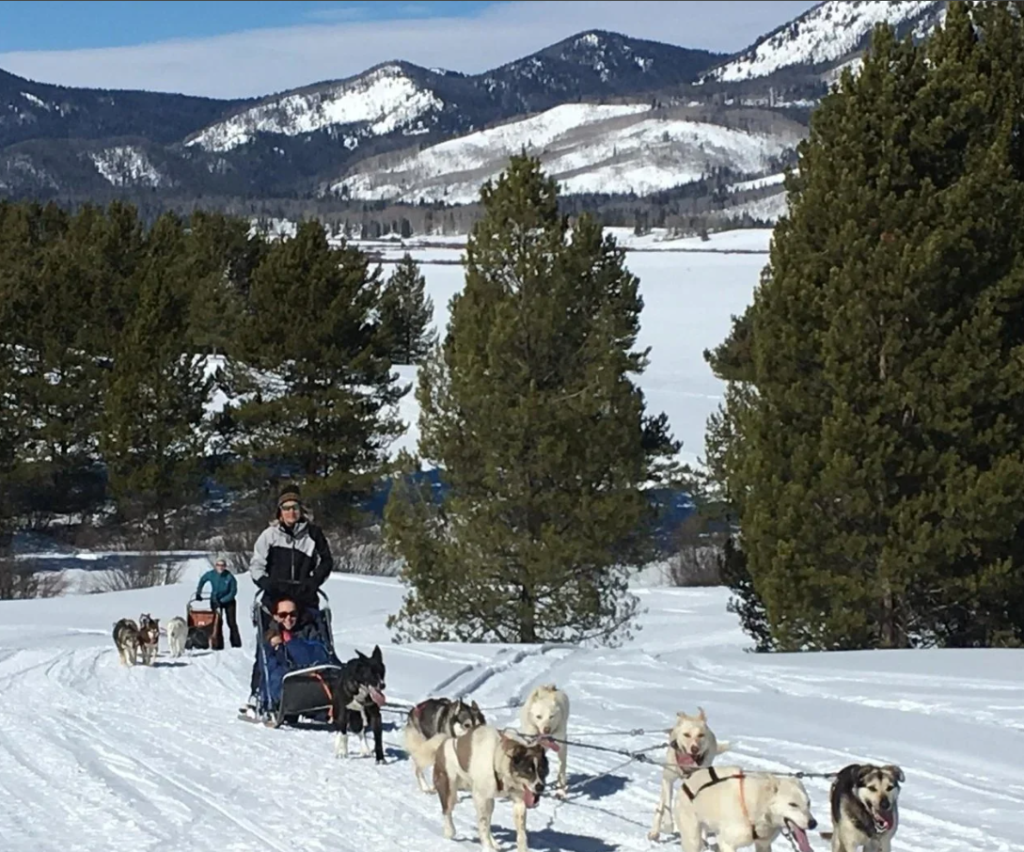 Mountain Paws Dog Sled Tours