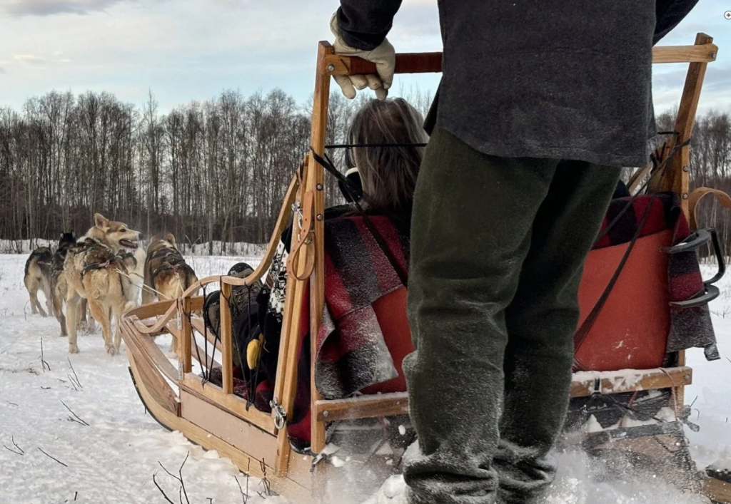 Colorado dog sledding in Silverthorne.