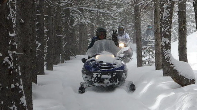 Monarch Snowmobile Tours